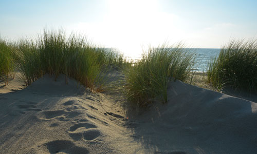 zahnärztliche Hypnose